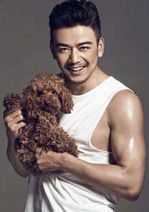 杨烁婚姻爆料了吗视频下载,揭秘明星婚姻背后的真相 第3张 杨烁婚姻爆料了吗视频下载,揭秘明星婚姻背后的真相 第3张